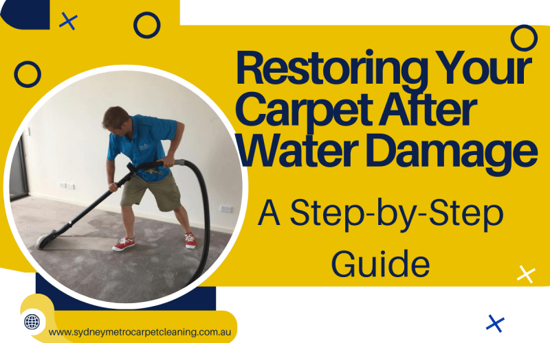 Restoring-Your-Carpet-After-Water-Damage-A-Step-by-Step-Guide-Flooded-Carpet-cleaning-1200x800-px