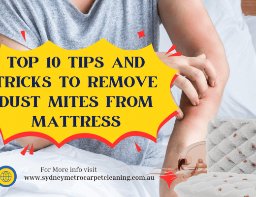 Top-10-Tips-and-Tricks-To-Remove-Dust-Mites-From-Mattress