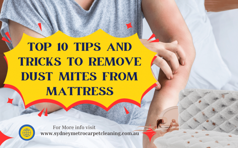 Top-10-Tips-and-Tricks-To-Remove-Dust-Mites-From-Mattress