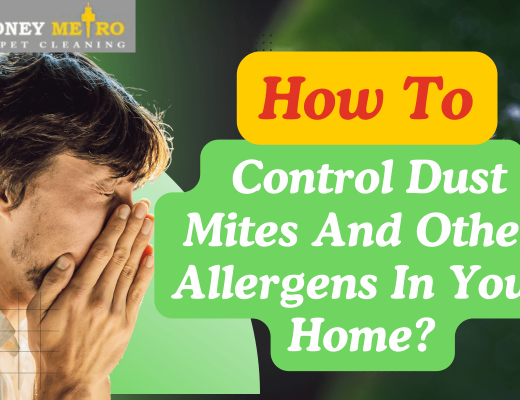 How-to-control-dust-mites-Sydney-metro-Carpet-cleaning-1200x800