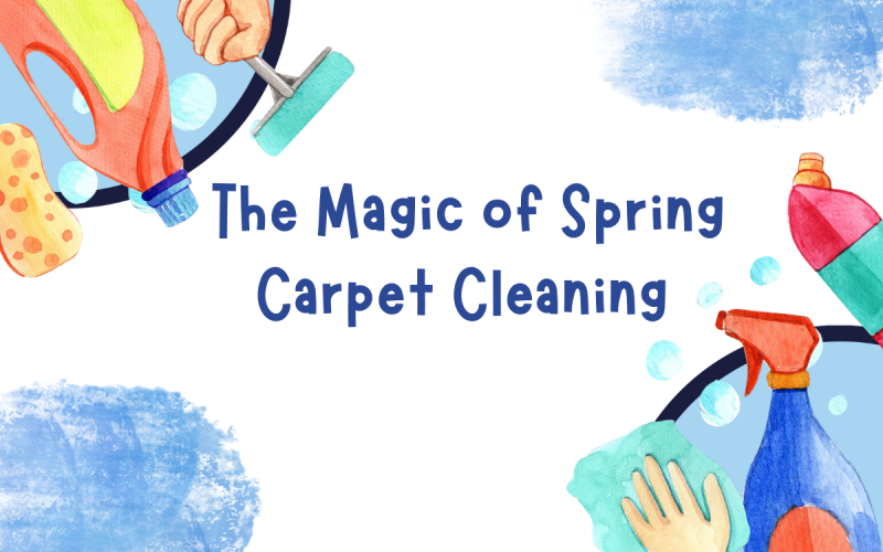 Spring-Sydney-Carpet-cleaning