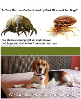 Mattress Cleaning